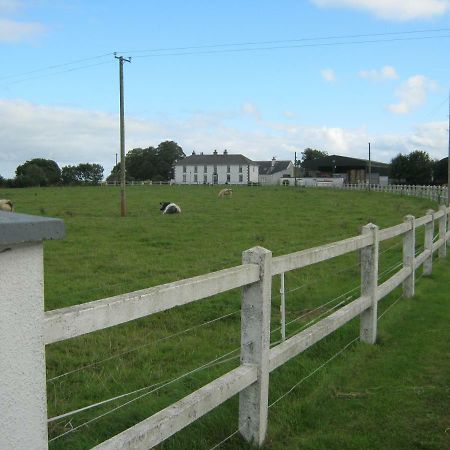 Вілла Castlehaven Donaghmore  Екстер'єр фото